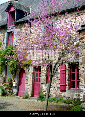 Maison traditionnelle en pierre sur la rue Saint-Vincent à La Gacilly, Morbihan, Bretagne, France Banque D'Images