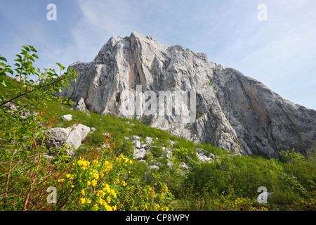 Parc national de Paklenica. Banque D'Images