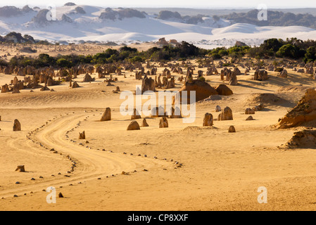 Le Désert des Pinnacles, dans le Parc National de Nambung en Australie occidentale. Banque D'Images