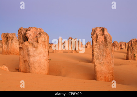 Le Parc National de Nambung ou aux Pinnacles, une des principales attractions touristiques de l'Australie, vu dans l'étrange lumière juste après le coucher du soleil. Banque D'Images