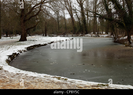 [River Cherwell] gelés en hiver, Oxford, England, UK Banque D'Images