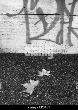 Avion quitte et mur de graffiti Banque D'Images