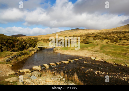 Vue sur la rivière qui a Lyd stepping stones le traversant, Dartmoor, Devon, UK Banque D'Images