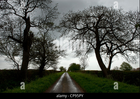 Route de campagne près de Great Thurlow, Suffolk, Angleterre, Royaume-Uni. 7-mai 2012. Banque D'Images