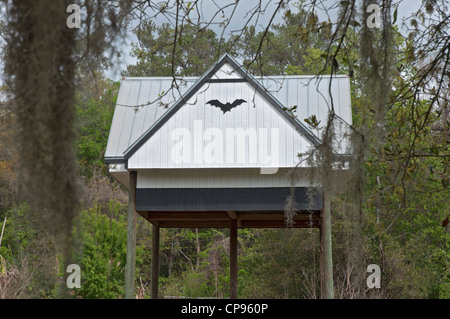 Bat house complex à l'Université de Floride, Gainesville. Banque D'Images