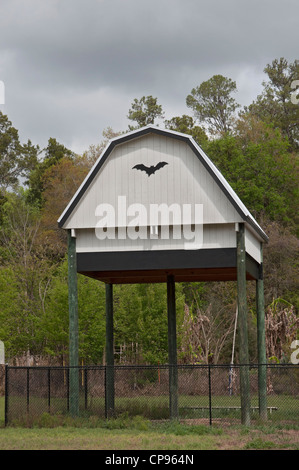 Bat house complex à l'Université de Floride, Gainesville. Banque D'Images