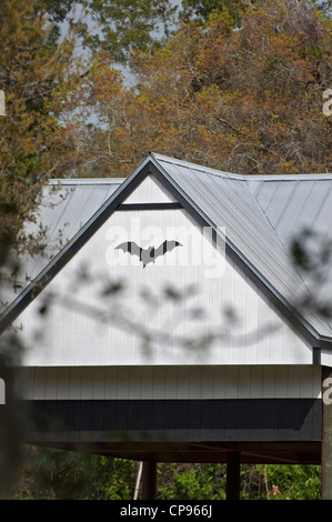 Bat house complex à l'Université de Floride, Gainesville. Banque D'Images