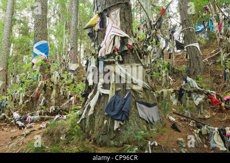 La Clootie bien, près de Munlochy sur la Black Isle, Ross-shire, en Écosse. Banque D'Images