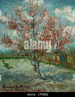 Van Gogh - Rose pêche arbres - Souvenir de Mauve Banque D'Images