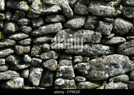 Mur en pierre sèche, Dartmoor National Park, Devon, Angleterre Banque D'Images