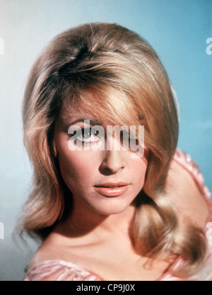 SHARON TATE actrice US (1943-1969) Banque D'Images