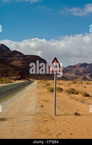 Méfiez-vous des chameaux crossing, Wadi Rum, Jordanie Banque D'Images