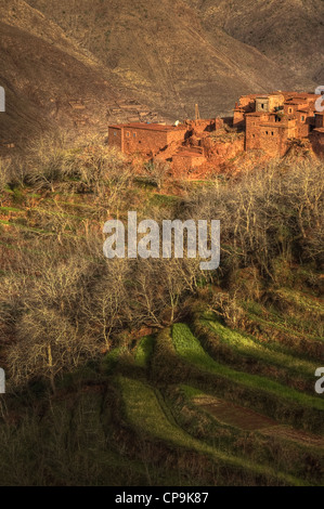 Village berbère, l'Azzaden Valley, parc national de Toubkal, Haut Atlas, Maroc Banque D'Images