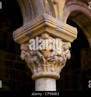 Chapiteaux romans de Santa Maria d'Urgell, la cathédrale de Seu d'Urgell Lérida. Catalunya. Espagne Banque D'Images