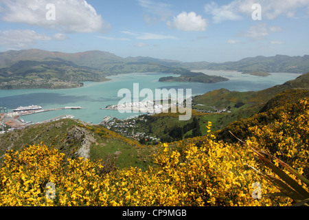 Lyttelton, Nouvelle-Zélande. Harbour vu de Mount Pleasant Banque D'Images