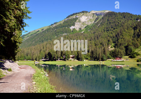 Lac de Montriond en France, dans le département de Haute-Savoie dans la région Rhône-Alpes Banque D'Images