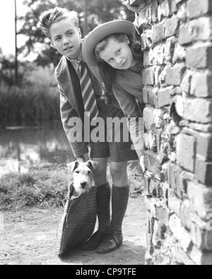 Chien de compagnie publicité non identifiés encore Gainsborough film sur 1948 Banque D'Images