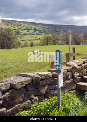 Sentier Public avec un pas sur un mur de pierres sèches stile dans Fryup Dale dans le parc national des North Yorkshire Moors au printemps