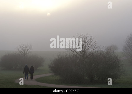 Jardin botanique dans le brouillard, l'Allemagne, Cologne Banque D'Images