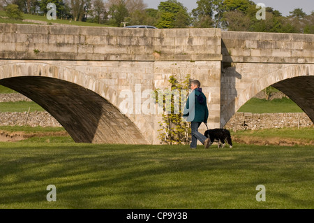 Un chien marche près du pont sur la rivière Wharfe, Tonbridge. Banque D'Images