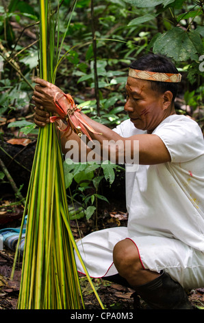 Secoya tribu à Secoya lodge amazonie le long de la rivière Aguarico Tierras Orientales Equateur Banque D'Images