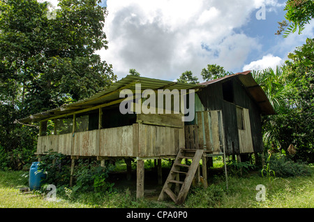 Secoya tribu à Secoya lodge amazonie le long de la rivière Aguarico Tierras Orientales Equateur Banque D'Images