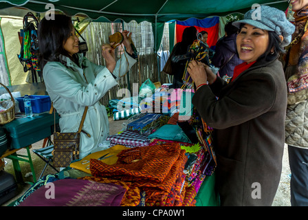 Paris, France, Festival bouddhiste français, People Shopping at local Ethnic Products Stall, « la Maison du Bhutout » immigrants Europe, festival ethnique, france produits finis Banque D'Images