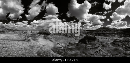 Vue sur le Horseshoe Canyon, dans les badlands de la rivière Red Deer, près de Drumheller, en Alberta, Canada. Paysage ouvert spectaculaire. Banque D'Images