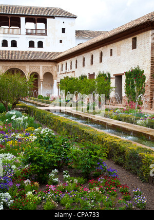 Jardins Bas de la Generaliffe (jardins de l'Alhambra). Banque D'Images