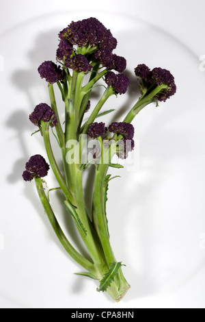 Purple Sprouting Brocoli Banque D'Images