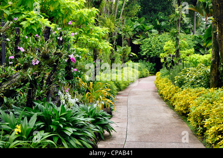 Orchid Garden Jardin Botanique de Singapour Banque D'Images