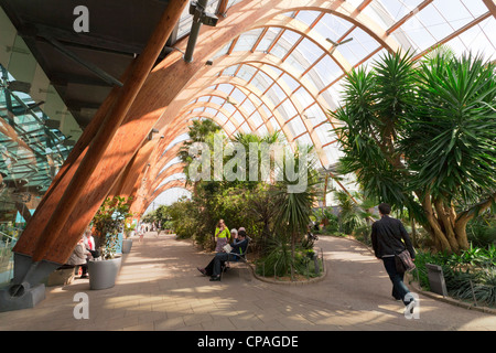 Sheffield Winter Gardens sur une belle journée de printemps ensoleillée, les gens se détendre et marcher à travers. Banque D'Images