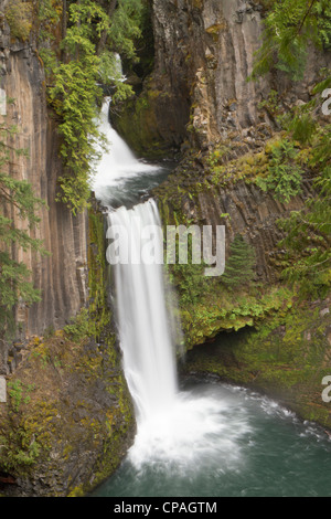 Toketee Falls dans le comté de Douglas, de l'Oregon Banque D'Images