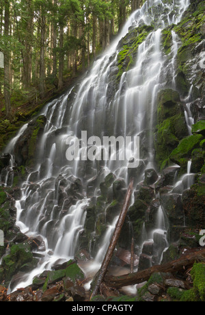 Ramona Falls dans la région de Clackamas Comté (Oregon) Banque D'Images