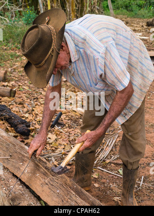 Un homme âgé de 70 à 80 ans cultivateur de tabac cubain travaille avec ses outils par son hangar à Viñales, Cuba dans l'ouest de Cuba. Banque D'Images