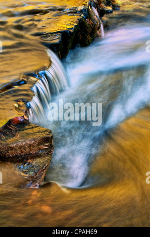 USA, Pennsylvania, Dingmans Ferry, parc d'enfant Dingmans Creek. Cascade de couleur automne coule sur les rochers Banque D'Images