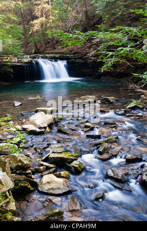 États-unis, TN, South Cumberland State Park. Sentier le long de la petite Fiery gésier gésier Fiery Creek Banque D'Images