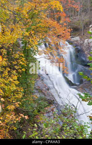 États-unis, TN, Tellico. Bald River Falls situé dans la forêt nationale de Cherokee. Banque D'Images