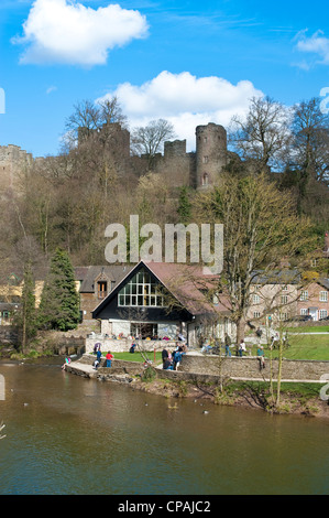 Ludlow castle, moulin sur le Livre vert et la rivière teme, Shropshire Banque D'Images