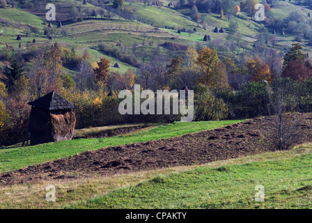 Les pentes des montagnes des Carpates, Maramures Banque D'Images