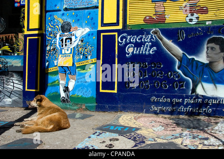 Une peinture murale de Diego Maradona et Roman Riquelme dans le quartier de La Boca de Buenos Aires, Argentine. Banque D'Images