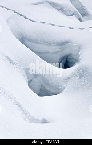 Empreintes d'animaux traversant un étroit pont de neige sur un glacier Banque D'Images