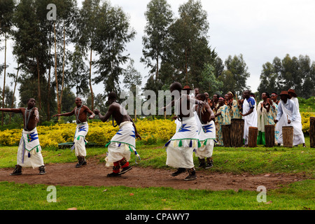 Danseurs et tambours tribaux offrent un accueil traditionnel au parc national des volcans, Rwanda. Banque D'Images