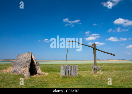 Bien dessiner et reed traditionnelle cabane de Neusiedler See, Autriche Banque D'Images