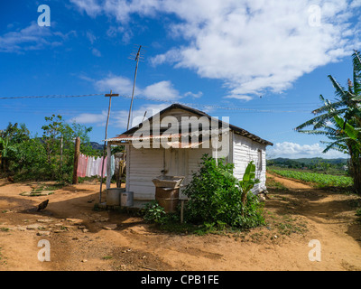 Vue typique de petite maison rurale agricole dans l'ouest de Cuba, près de la ville de Viñales la culture du tabac. Banque D'Images