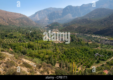 El Ingenio plantation noyer cajón del Maipo Chili Banque D'Images