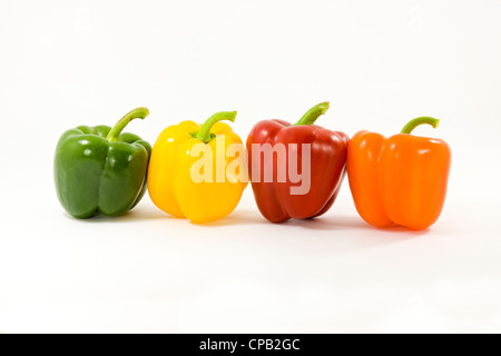 Rangée de vert, jaune, rouge et orange des poivrons de couleur sur un fond blanc. Banque D'Images