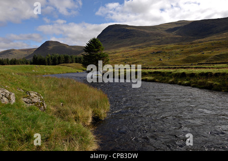 Le pin solitaire sur une île dans la rivière Lyon, Glen Lyon, Ecosse Banque D'Images