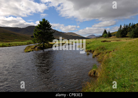 Le pin solitaire sur une île dans la rivière Lyon, Glen Lyon, Ecosse Banque D'Images