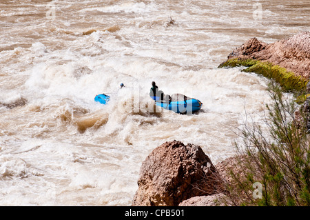 Whitewater Rafting par Lava falls (classe 9 +) sur le fleuve Colorado à Grand Canyon National Park Arizona Banque D'Images